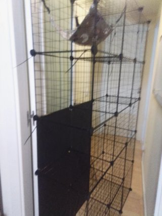 Grande Gabbia per Animali e Uccelli