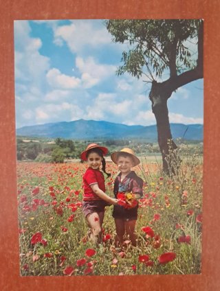 Lote de postales antiguas