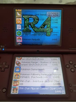 Nintendo DSi XL Marrón + tarjeta de juegos