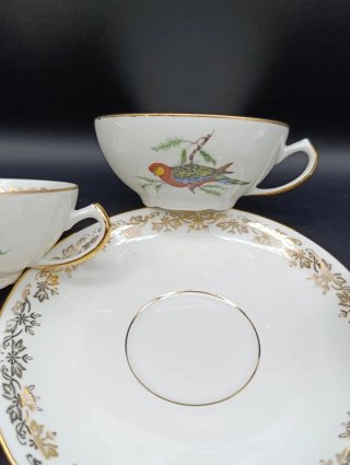 Set tazas café porcelana francesa PL