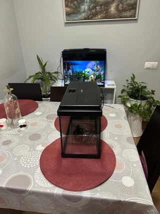 Acuario de 20 Litros