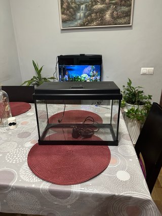 Acuario de 20 Litros