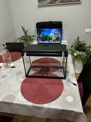 Acuario de 20 Litros