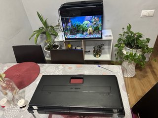 Acuario de 20 Litros