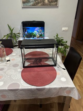 Acuario de 20 Litros