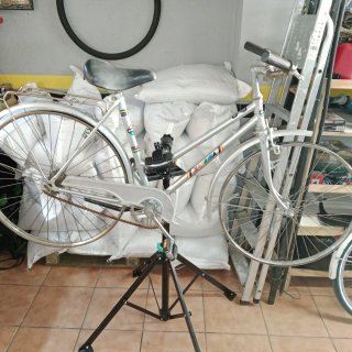 Bicicleta de paseo Sabrina plateada