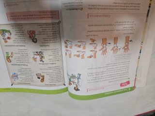 Ciencias de la naturaleza, 6 Primaria, Comunida...