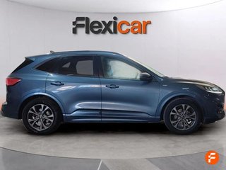 Ford Kuga ST-Line 1.5 EcoBlue 88kW (120CV) Auto