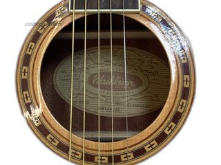 guitarra acustica washburn wd10