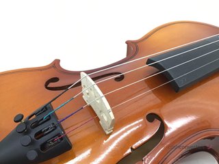 violin sin marca blanca