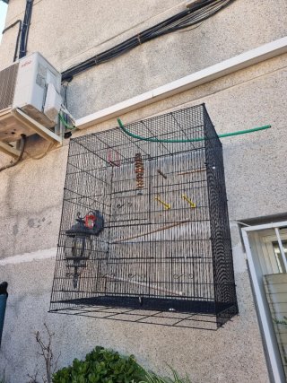 Gabbia grande per uccelli