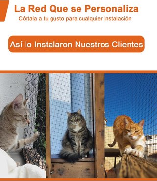 NIEKILIG Red Gatos 8×2m Reforzada Acero 12 hilos