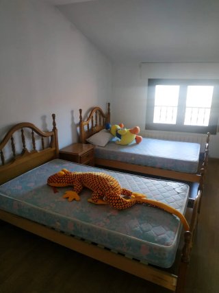 Habitación juvenil pino