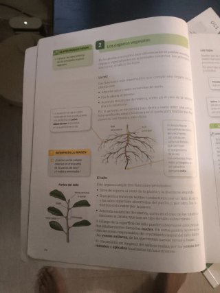 Biología y Geología