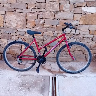Bicicleta de montaña roja X81