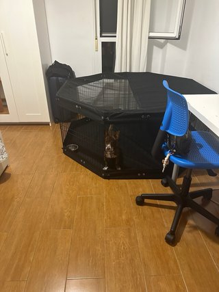 Jaula Plegable para Perros