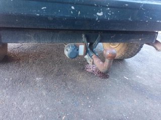 381519 5fm30lazak cinturón seguridad chrysler jeep