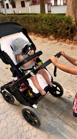 Carrito Bugaboo Fox 3