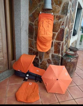 Conjunto Bugaboo Camaleón