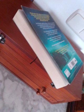 Libro Lee Child