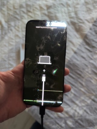 iPhone 16 Pro Max para piezas