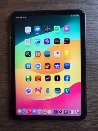 Apple iPad mini 6 256GB Wi-Fi Grigio siderle