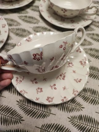 Set de 6 Tazas con Platito