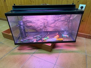 Pecera 100L