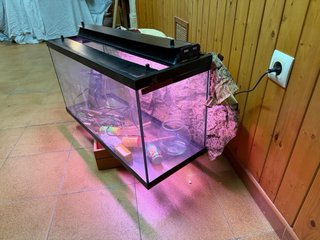Pecera 100L