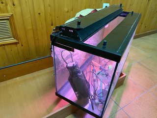 Pecera 100L