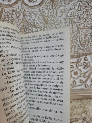 El gat misteri