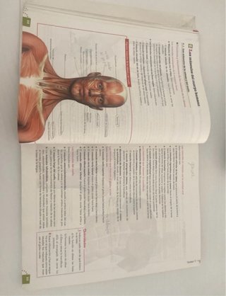 Anatomía aplicada Bachillerato 1