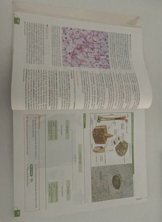 Biología y geología, Bachillerato 1 Aprender es...