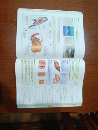 Proyecto: FanFest - Biología, Geología y Cienci...