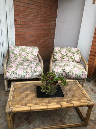 Conjunto de Jardín de Mimbre