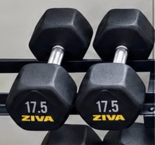 2 mancuernas 17.5kg Ziva
