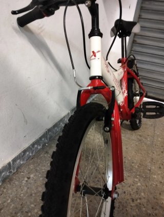 BICICLETA DE NIÑO O NIÑA DE 5 A 12 AÑOS