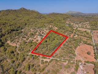 Terreno en venta en Son Servera