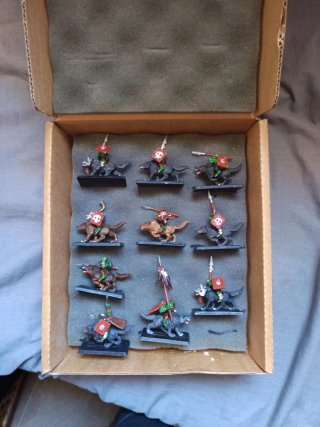 Set de 10 Jinetes Goblin Warhammer de plástico