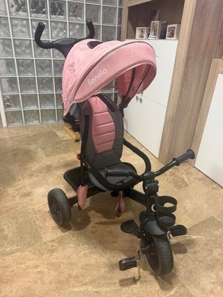 Triciclo evolutivo Lionelo Rosa