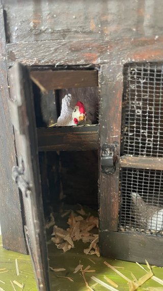 Gallinero para Belén