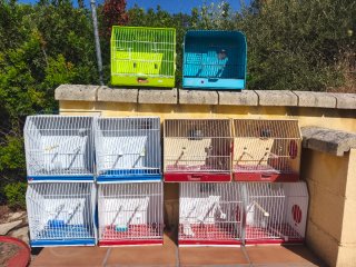 Gabbie per Esposizione