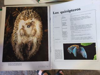 Enciclopedia el mundo de los animales