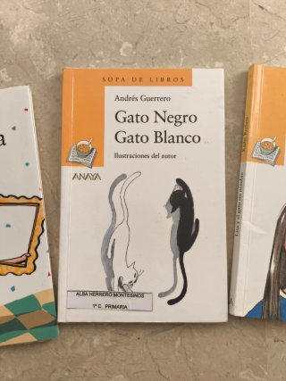Libros infantiles a partir de 1 de primaria