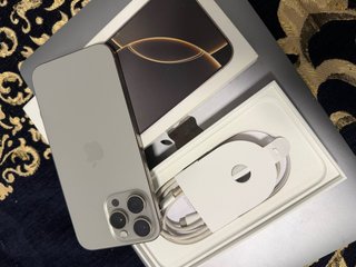 iPhone 16 Pro Max 256GB Gris,