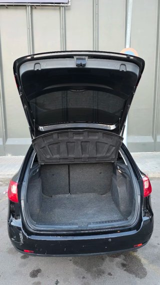 SEAT Ibiza 2010