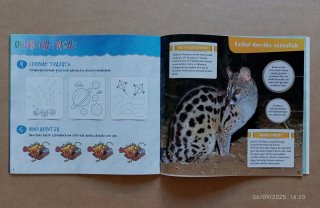 Libros infantil: IRRIA -Pirritx Porrotx Marimotots