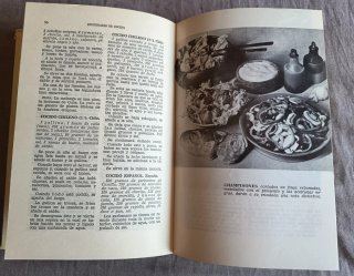 Diccionario de Cocina