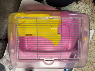 Tortuguero con rampa
