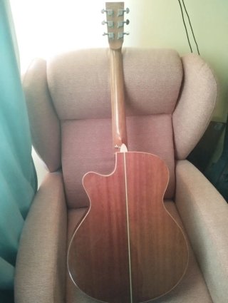 Guitarra Electroacústica Tanglewood TW4 WB